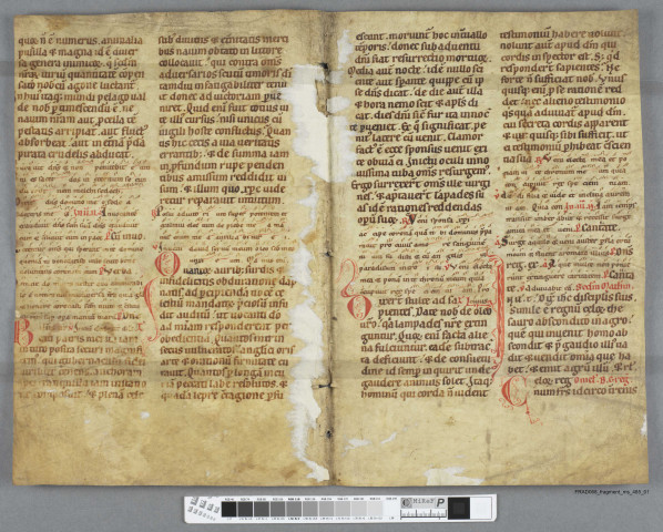 Fragment ms 485a