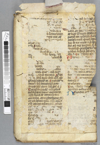 Fragment ms 176a