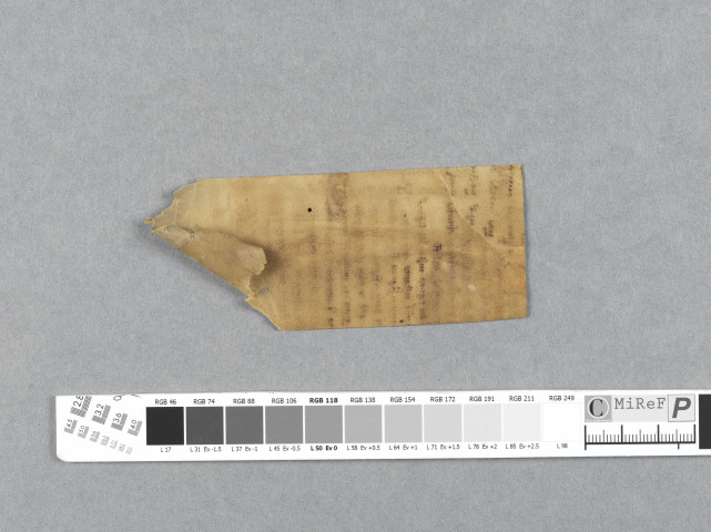 Fragment ms 225a