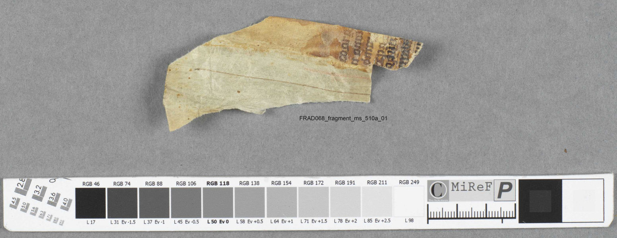 Fragment ms 510a