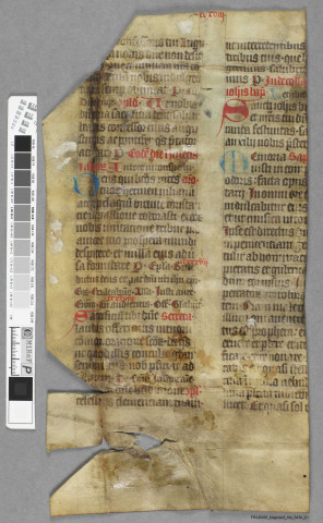 Fragment ms 543b