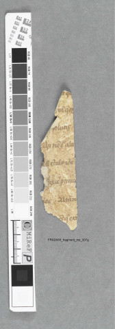 Fragment ms 307g