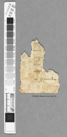 Fragment ms 544p