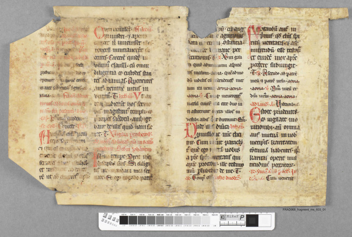 Fragment ms 603a