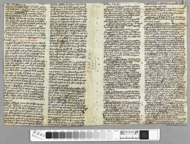 Fragment ms 295a