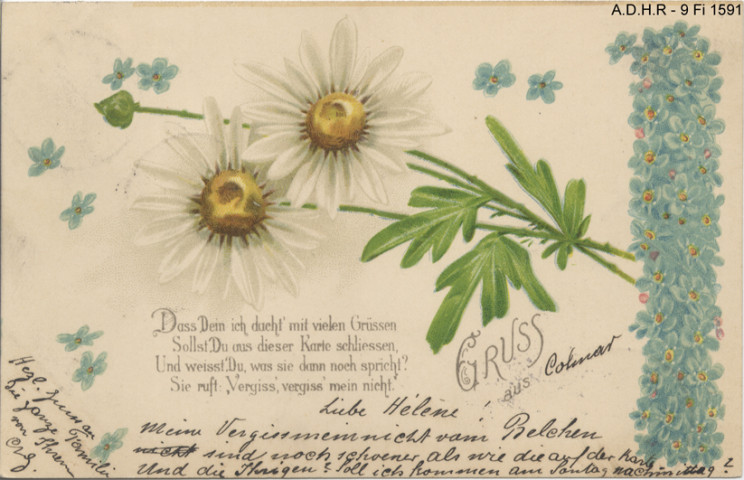 Dessin représentant des fleurs