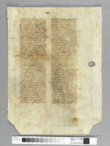 Fragment ms 444a