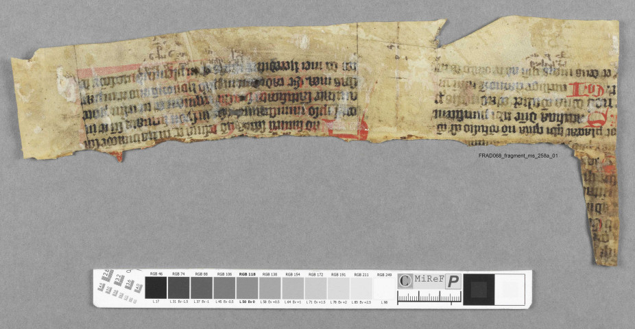 Fragment ms 258a