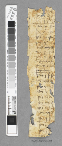 Fragment ms 544i