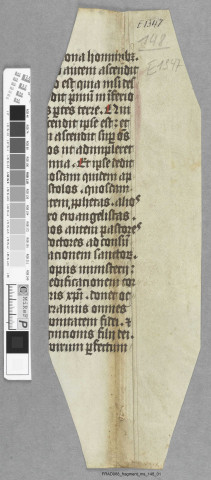 Fragment ms 148