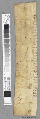 Fragment ms 514a