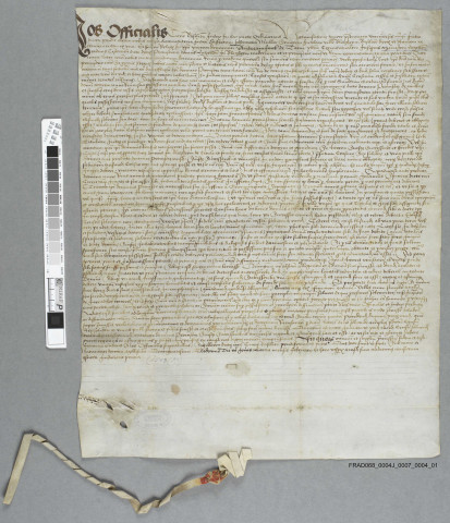 Jugement dans procès entre un bourgeois de Blotzheim et le provisor de la maison de Lucelle située à Blotzheim