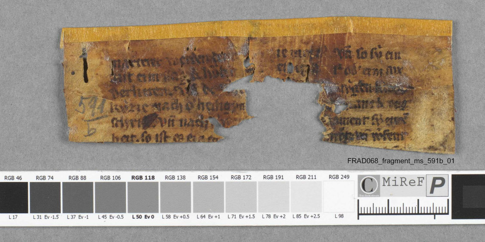 Fragment ms 591b