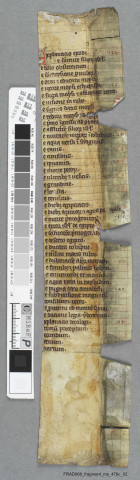 Fragment ms 479c