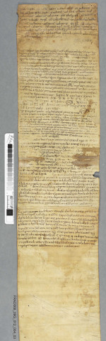 "Statuta Murbacensia"