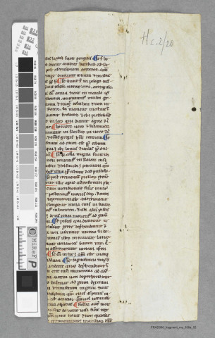 Fragment ms 356a