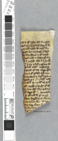 Fragment ms 198b