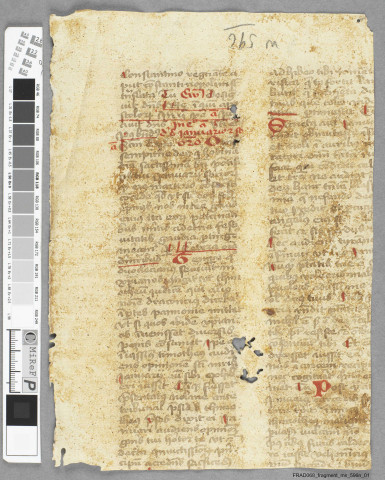 Fragment ms 596n