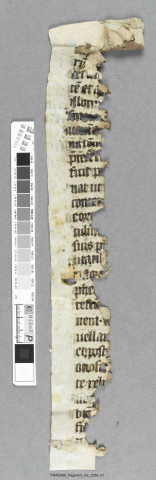 Fragment ms 328b