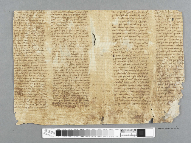 Fragment ms 307u