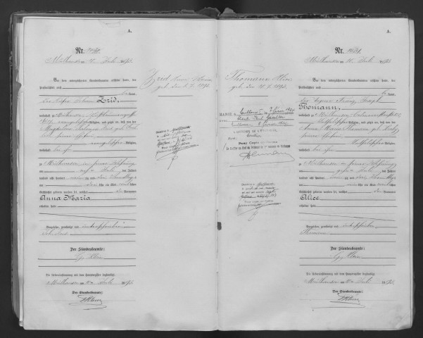 Du 10 juillet 1893 au 31 décembre 1893