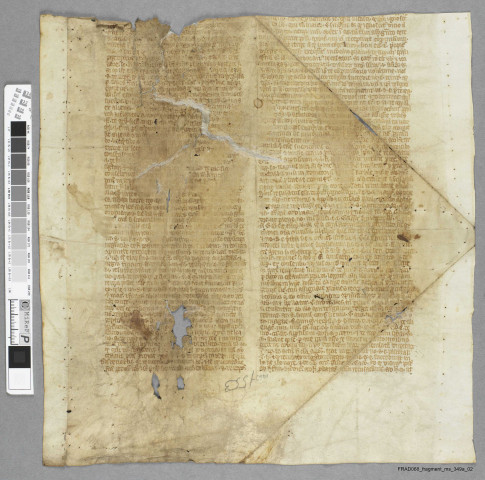 Fragment ms 349a