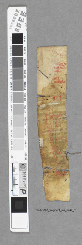 Fragment ms 544z