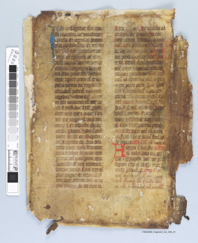 Fragment ms 048a