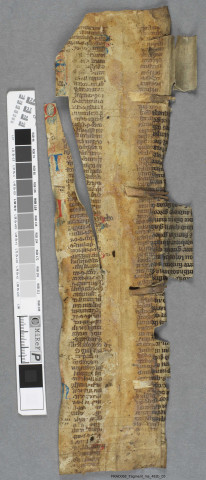 Fragment ms 482b