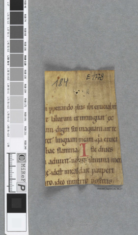 Fragment ms 184a