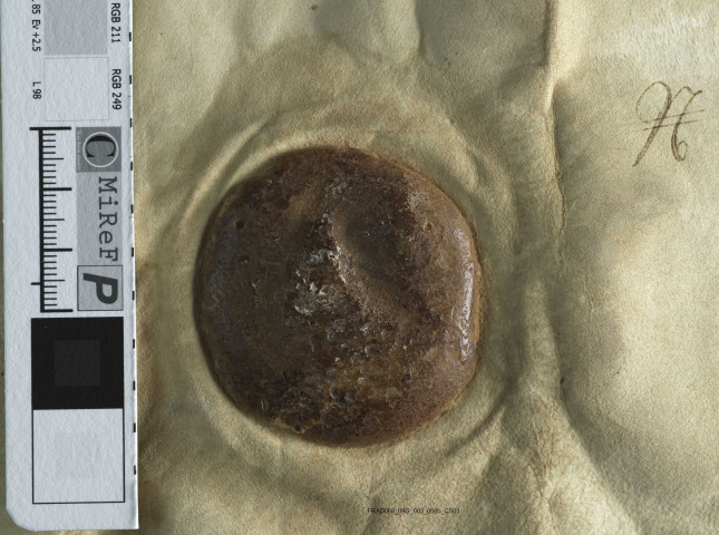 Diplôme de Charles le Gros