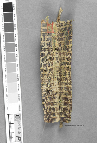 Fragment ms 259a