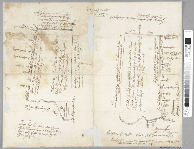 2 plans, 1 description d'une partie de la forêt de Wahlbach ?