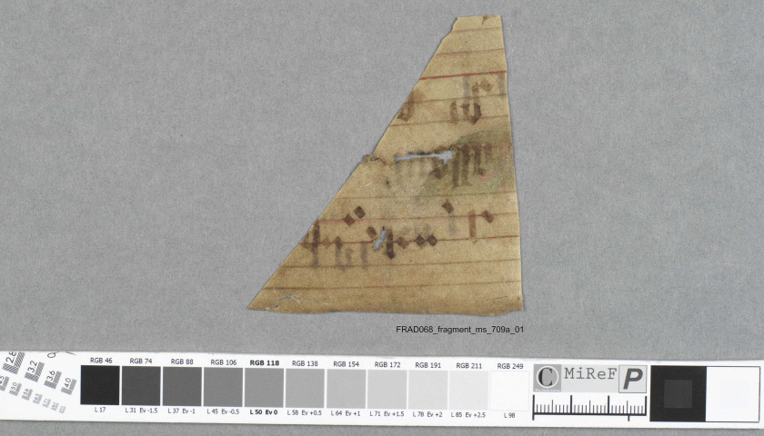 Fragment ms 709a