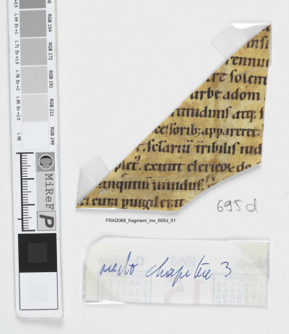Fragment ms 695d
