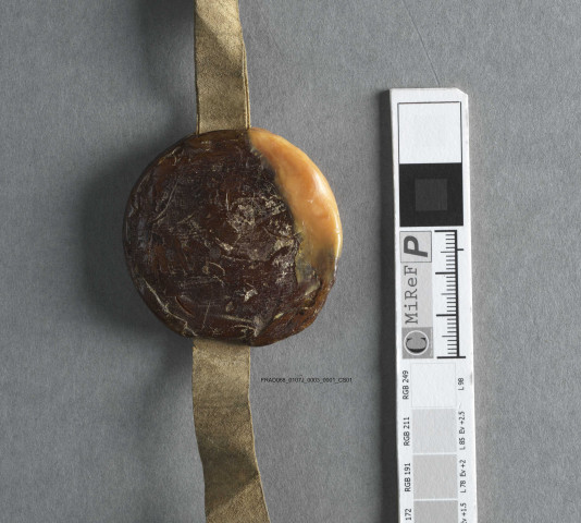 Raydt de Ribeauvillé