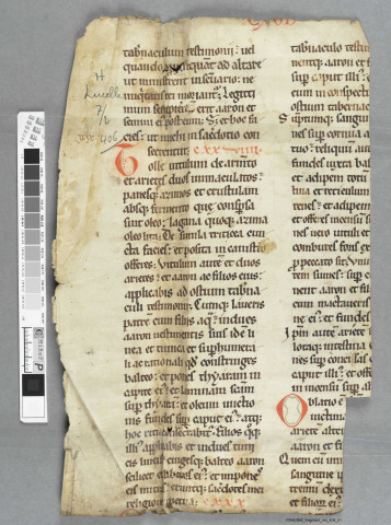 Fragment ms 406