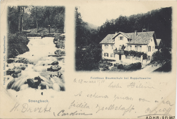 Ribeauvillé : Strengbach, maison forestière