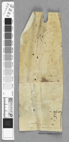 Fragment ms 253a