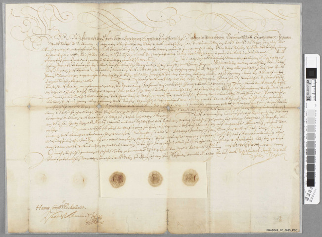 Lettres patentes de la veuve de l'archiduc Léopold d'Autriche