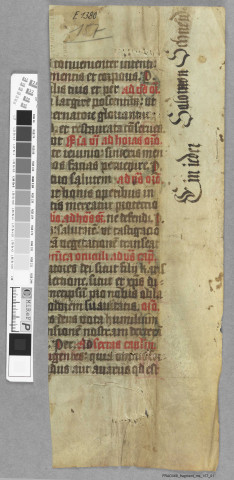 Fragment ms 157