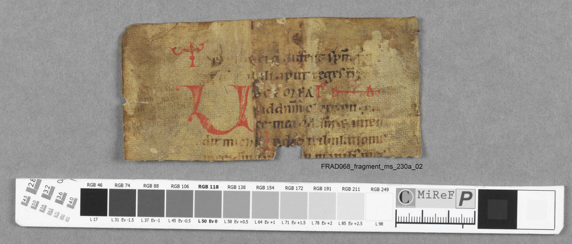 Fragment ms 230a