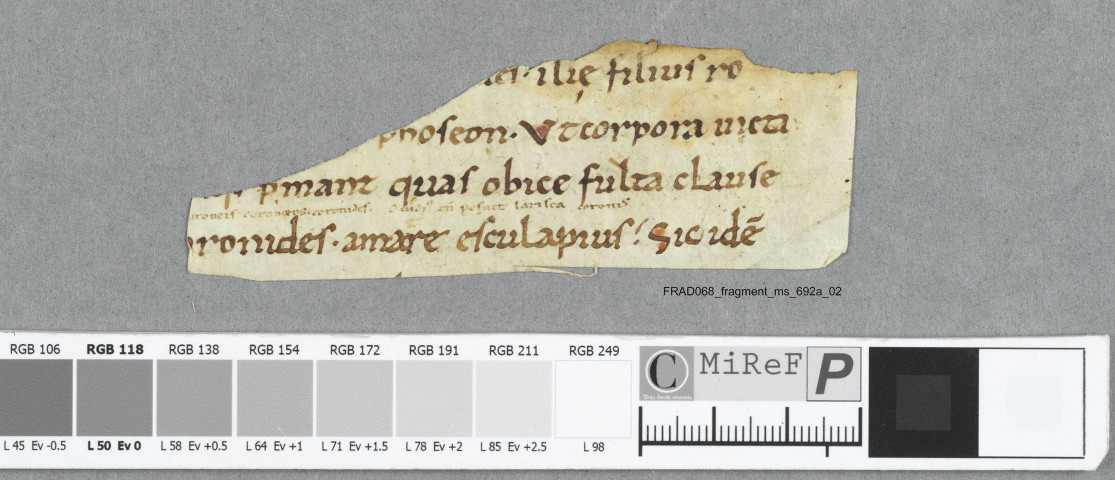 Fragment ms 692a