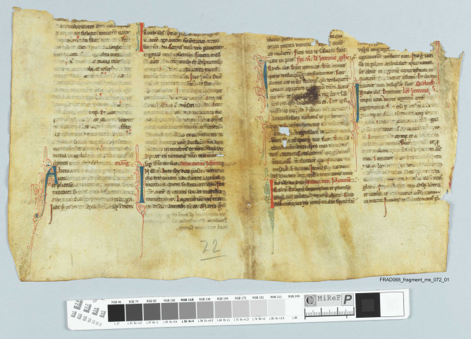 Fragment ms 072a
