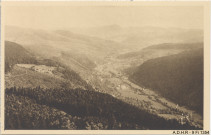 Vallée de Munster : vue générale