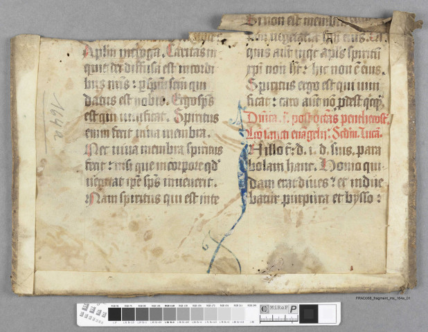 Fragment ms 164a