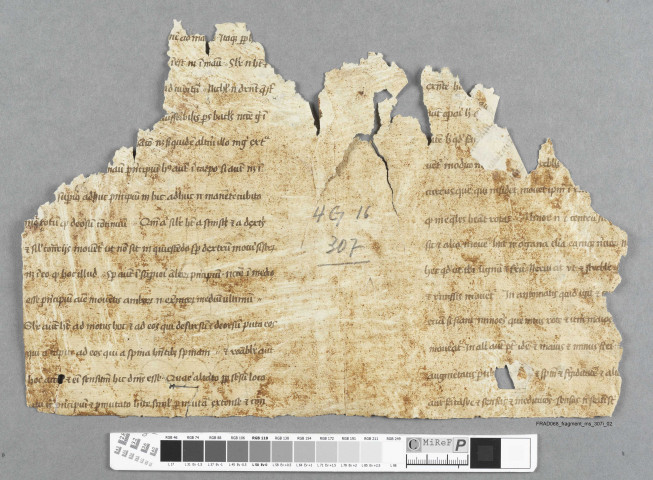 Fragment ms 307i