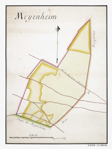 Meyenheim (bois communal)