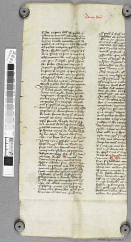 Fragment ms 496