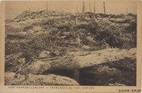 Hartmannswillerkopf : tranchées du Vieil Armand